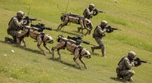 Read more about the article Robo-Dogs on the March: China’s New Battlefield Tech and What It Means for Ukraine, Russia, and the Future of War(With Robot Dogs of War-The Future of Combat Accountability Audio Overview)